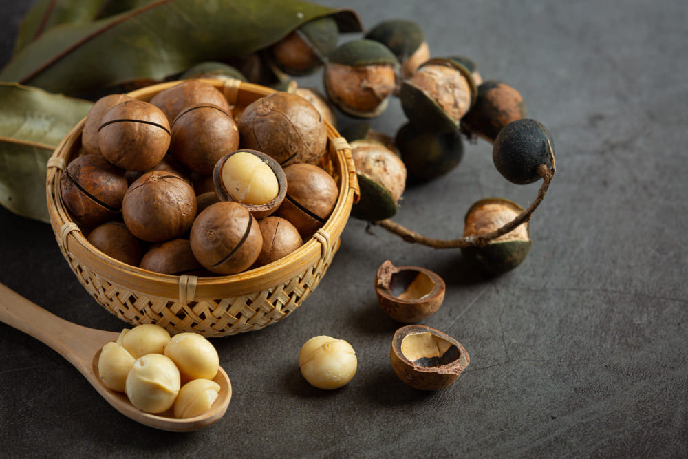 Macadamias