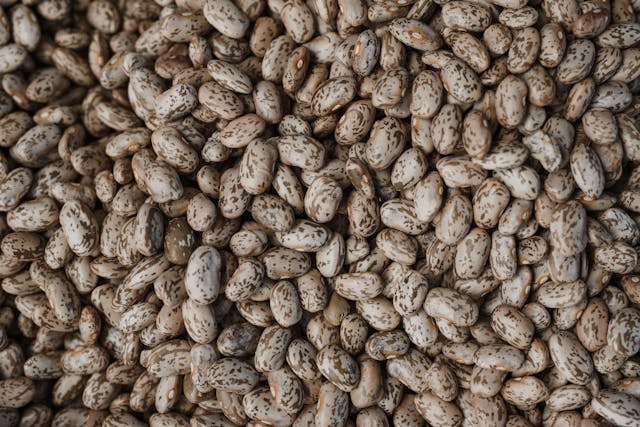 Pinto beans